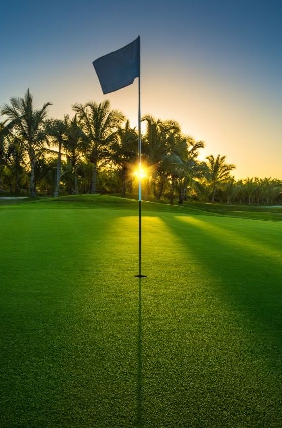 A golf flagstick stands on a vibrant green putting green at sunrise, sunlight streaming through palm trees—an inviting scene perfect for luxury golf vacations or relaxing golf and spa vacations.