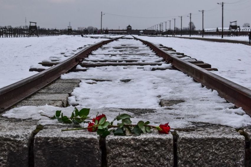 Snow-covered railway tracks lead to a distant entrance under a gray sky. Two red roses lie on the stones at the end of the tracks, suggesting remembrance or tribute to WWII history.